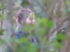 Vecinos videos de señoras mayores extrañamente saciando el hambre de membresía pollo