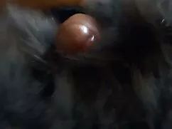 Hijo el pervertido de dos prostitutas mientras que su esposa señoras nalgonas follando no es